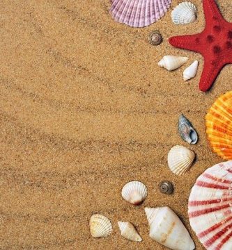 ancianos-en-verano