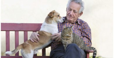 las-mascotas-y-la-tercera-edad