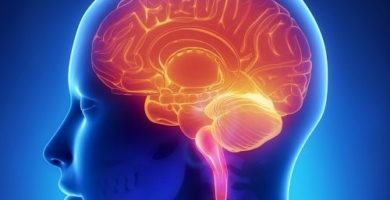 La glándula pineal que se encuentra en el cerebro es la encargada de segregar melatonina. Se ha podido demostrar que un suplemento de melatonina puede aumentar la capacidad de recuperación cerebral y de mejora cognitiva. Un estudio con participación de investigadores españoles, brasileños o australianos desvela que la melatonina podría ser un potencial tratamiento en enfermedades neurodegenerativas. Según el estudio, la melatonina en la memoria ejerce un efecto protector conforme el cerebro envejece. Así podría reducir la posibilidad de desarrollar alzhéimer o en aquellos que se haya desarrollado, protegerlos contra la degeneración neuronal. El estudio se ha realizado con un grupo de ratones de 6 meses. Unos estaban sanos y otros con alzhéimer. Fueron tratados con 12 mg por kilo de peso y día de melatonina durante 12 meses. En cuanto a los resultados, todos los ratones mostraron mejoría en su comportamiento en general y aprendizaje. Los ratones que tomaron melatonina estaban menos ansiosos, reconocían más que los que no habían tomado la melatonina. Esto es debido a que sus conexiones neuronales se optimizaron por efecto de la melatonina. El estudio ha demostrado que la melatonina reduce la inflamación de los ratones transgénicos y no transgénicos que la tomaron. Los pacientes con alzhéimer sufren a menudo alteraciones en el sueño, los tratamientos con melatonina pueden mejorar este problema. La melatonina es una hormona natural, que se segrega durante el sueño. La exposición a la luz solar no reactiva la segregación de melatonina. Esto no solo provoca problemas de sueño si no otros como cardiovasculares, diabetes, digestivos, depresivos, etc. Los autores de los estudios establecen que todavía necesitan más estudios clínicos antes de mandar melatonina como prescripción médica. Podemos esperar que los fármacos usados en los ratones sirvan para las personas con aspectos moderados de la enfermedad. Les ralenticen la enfermedad en etapas tempranas. Hoy en día no existe un cura para el alzhéimer, porque esta enfermedad en humanos presenta mayor complejidad. El tema sería retrasar la enfermedad en sus comienzos. Esto permitiría que la disminución a nivel mundial de personas afectadas por esta enfermedad y otras neurológicas. Estos estudios llegan a la conclusión que para demostrar la efectividad de la melatonina se necesitarían nuevos ensayos clínicos. Sin embargo, tanto este estudio como otros ya realizados en animales señalan la importancia de ensayos clínicos en humanos. En el que se evaluarán los beneficios a largo plazo de la melatonina de las enfermedades neurodegenerativas. Por tanto, una dieta adecuada y un sueño de calidad dos buenos consejos para prevenir estas enfermedades.