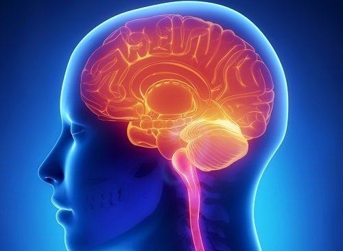La glándula pineal que se encuentra en el cerebro es la encargada de segregar melatonina. Se ha podido demostrar que un suplemento de melatonina puede aumentar la capacidad de recuperación cerebral y de mejora cognitiva. Un estudio con participación de investigadores españoles, brasileños o australianos desvela que la melatonina podría ser un potencial tratamiento en enfermedades neurodegenerativas. Según el estudio, la melatonina en la memoria ejerce un efecto protector conforme el cerebro envejece. Así podría reducir la posibilidad de desarrollar alzhéimer o en aquellos que se haya desarrollado, protegerlos contra la degeneración neuronal. El estudio se ha realizado con un grupo de ratones de 6 meses. Unos estaban sanos y otros con alzhéimer. Fueron tratados con 12 mg por kilo de peso y día de melatonina durante 12 meses. En cuanto a los resultados, todos los ratones mostraron mejoría en su comportamiento en general y aprendizaje. Los ratones que tomaron melatonina estaban menos ansiosos, reconocían más que los que no habían tomado la melatonina. Esto es debido a que sus conexiones neuronales se optimizaron por efecto de la melatonina. El estudio ha demostrado que la melatonina reduce la inflamación de los ratones transgénicos y no transgénicos que la tomaron. Los pacientes con alzhéimer sufren a menudo alteraciones en el sueño, los tratamientos con melatonina pueden mejorar este problema. La melatonina es una hormona natural, que se segrega durante el sueño. La exposición a la luz solar no reactiva la segregación de melatonina. Esto no solo provoca problemas de sueño si no otros como cardiovasculares, diabetes, digestivos, depresivos, etc. Los autores de los estudios establecen que todavía necesitan más estudios clínicos antes de mandar melatonina como prescripción médica. Podemos esperar que los fármacos usados en los ratones sirvan para las personas con aspectos moderados de la enfermedad. Les ralenticen la enfermedad en etapas tempranas. Hoy en día no existe un cura para el alzhéimer, porque esta enfermedad en humanos presenta mayor complejidad. El tema sería retrasar la enfermedad en sus comienzos. Esto permitiría que la disminución a nivel mundial de personas afectadas por esta enfermedad y otras neurológicas. Estos estudios llegan a la conclusión que para demostrar la efectividad de la melatonina se necesitarían nuevos ensayos clínicos. Sin embargo, tanto este estudio como otros ya realizados en animales señalan la importancia de ensayos clínicos en humanos. En el que se evaluarán los beneficios a largo plazo de la melatonina de las enfermedades neurodegenerativas. Por tanto, una dieta adecuada y un sueño de calidad dos buenos consejos para prevenir estas enfermedades.
